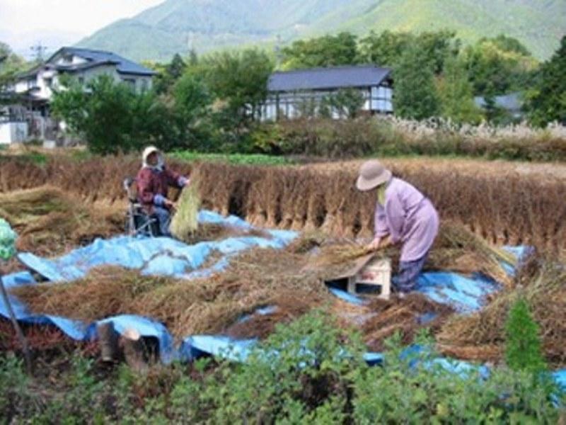 Village Inn Seizanso Matsumoto Esterno foto